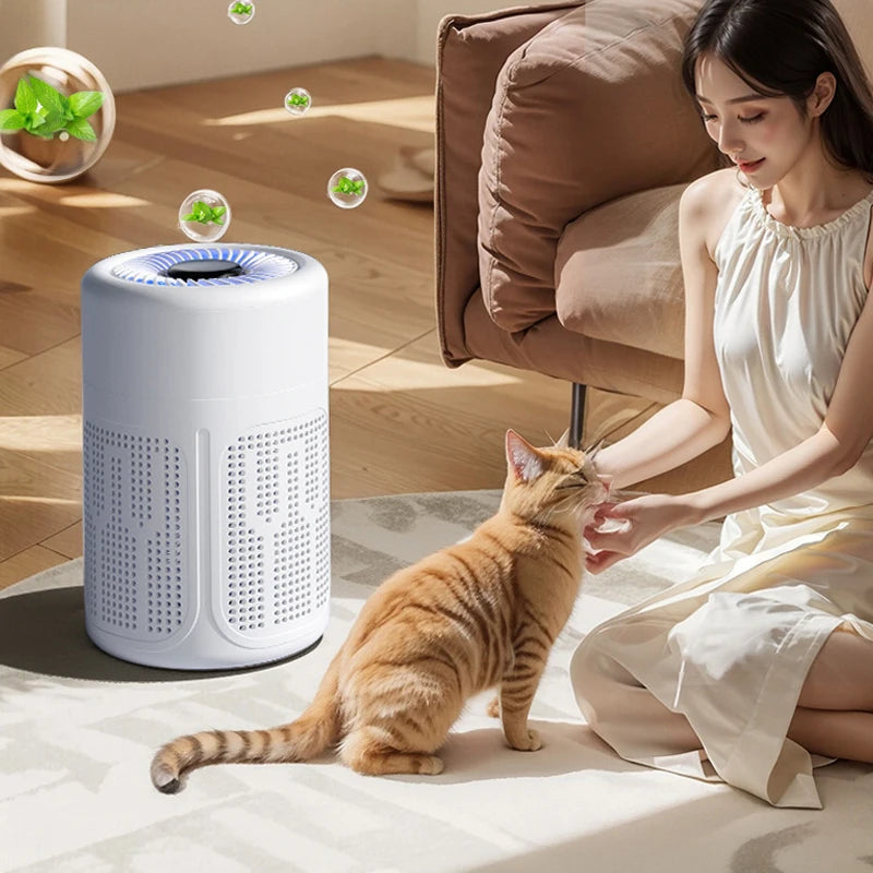 Desktop Air Purifier with HEPA Filter and Negative Ion Technology